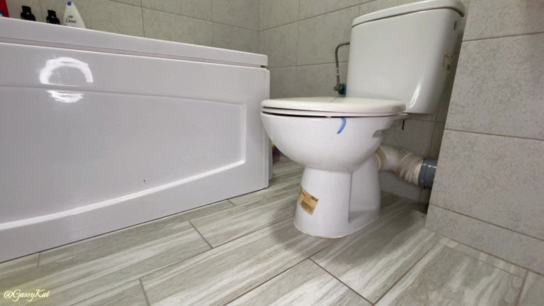 GassyKat: Les toilettes quotidiennes, s2, épisode 3