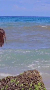 Divertimento in spiaggia