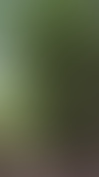 I Get so Horny Walking in the Woods Naked with My Dick Locked and Then Get Home and Destroy My Hole