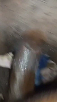 Moje těhotná sousedka miluje mého velkého ptáka