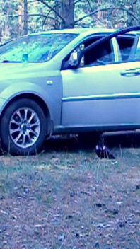 Vacanță sexuală în pădure