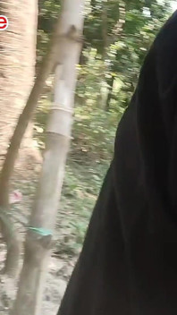 หนุ่มบังกลาเทศอินเดียเย็ดต้นไม้ในป่า
