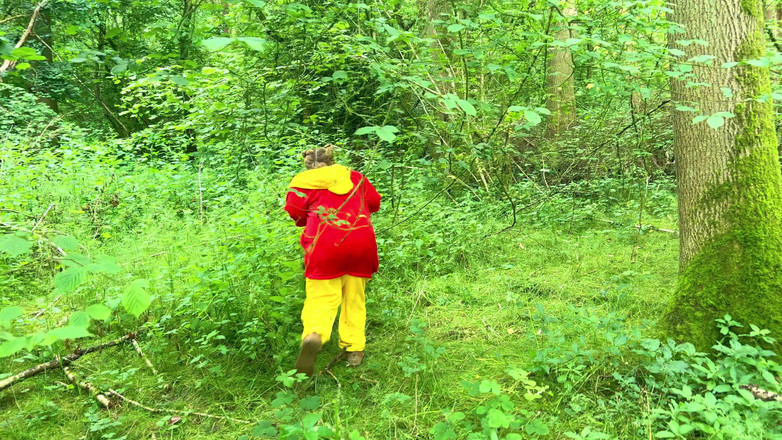 JessieHH: Winnie the Pú byla chamtivá a uvízla a musí být...