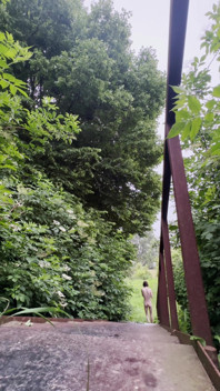 Chico holandés se atrevió a desnudarse y camina desnudo en el parque sincero