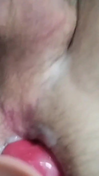 Danes a Doggo: hravý okamžik s oblíbenou hračkou