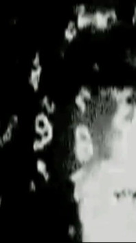 Lydia privata