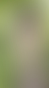 Wild & Wet: 2 Tgirls Naked in the Meadow