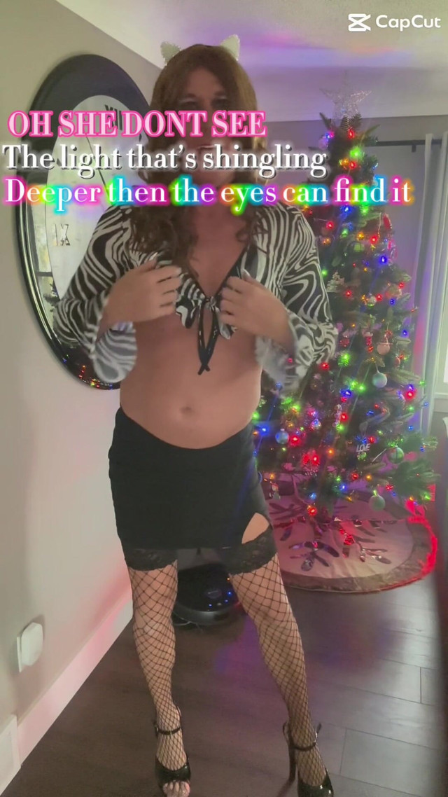 Zebra Xmas 2 (Orlandi480)