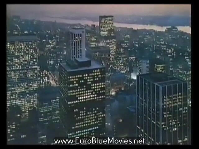 Euro Blue Movies: Sekretarinnen Report (1995 )