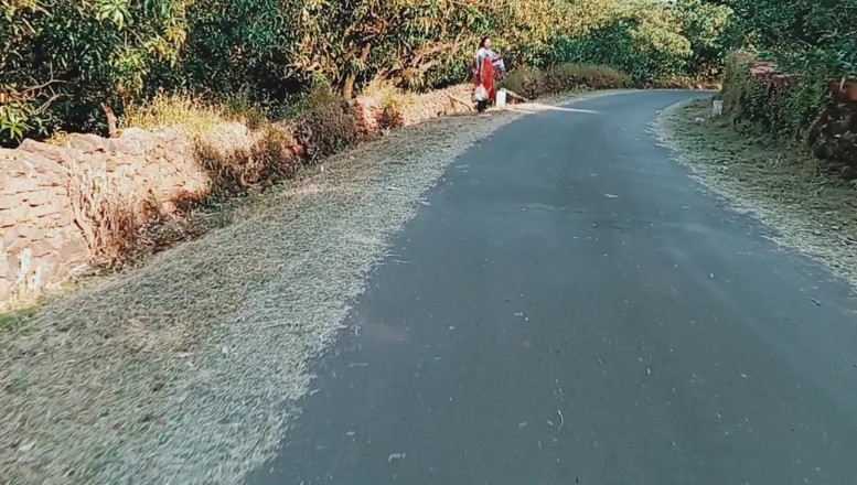 Harder299: She Asked for Lift. Wants to Go to the Market....