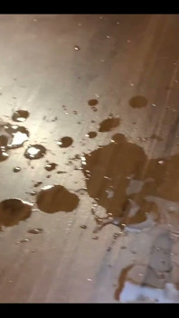 Show Us Your Cumshot on Floor
