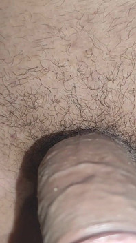 亀頭の男性のフェロモンはハエを引き付けます。