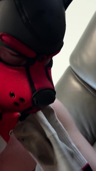 Sniff N Socks