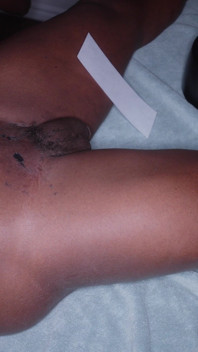 Ebony harst bbq en laat hem ontploffen