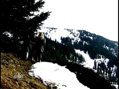 Hardcore Lovers: Alpenfick.