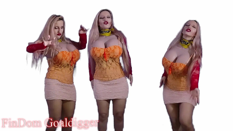 FinDom Goaldigger: My good manwhore