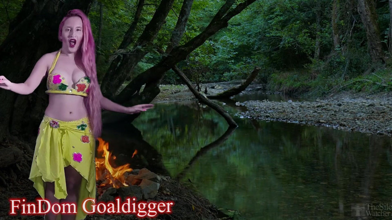 FinDom Goaldigger: Cum control