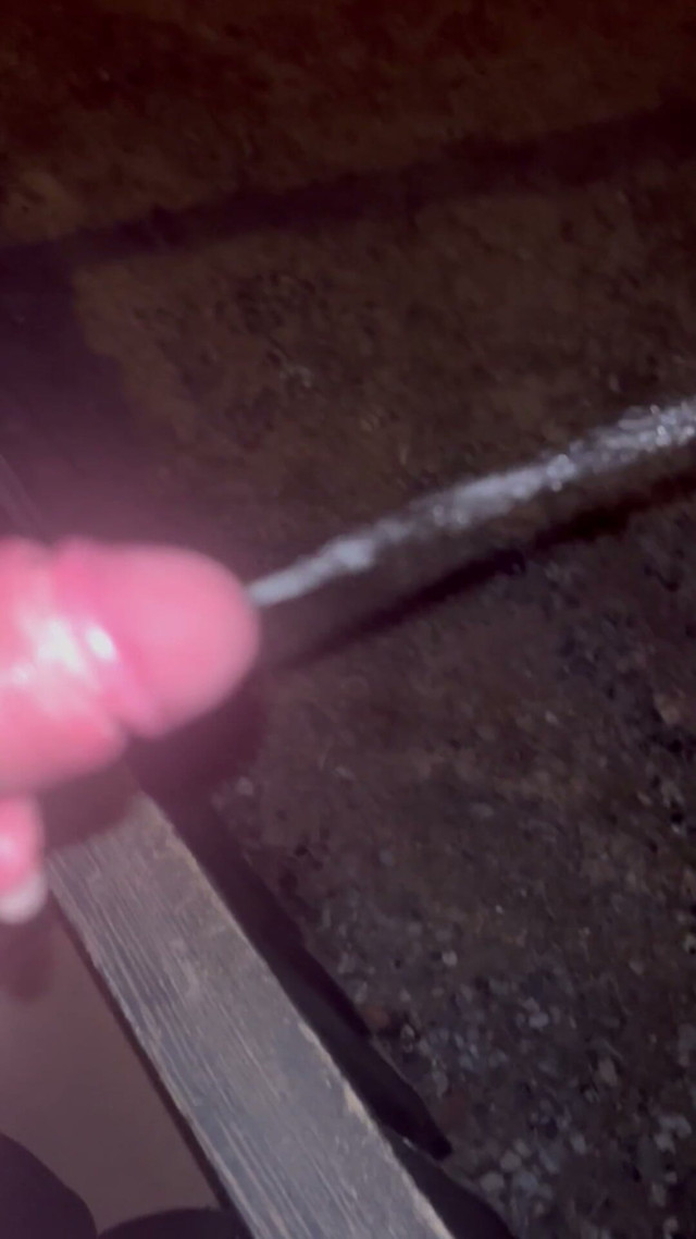POV Pissing