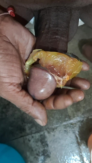 Maddymissile: Kendim