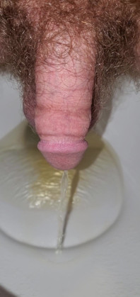 Closeup of My Cock Peeing Over the Toilet 2