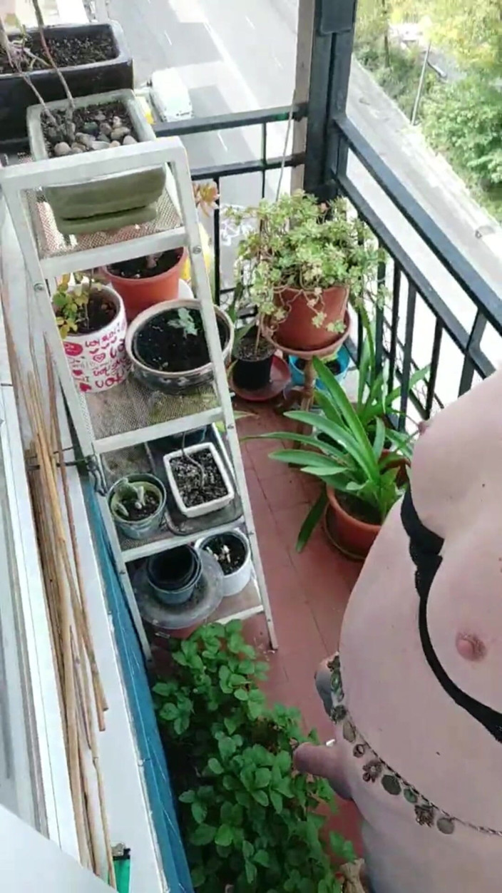 Carlatx: Una Puta Transexual Se Exhibe En La Terraza