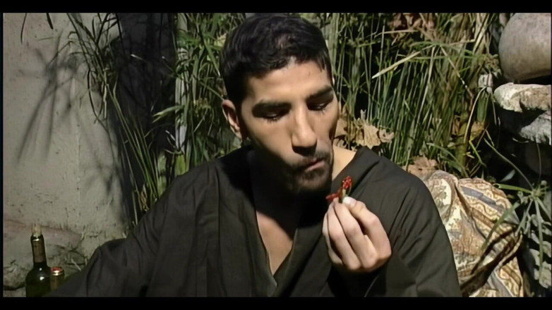 MMV BEST MOVIES AND CLIPS: Мокрые киски хотят, чтобы их трахнули горячо