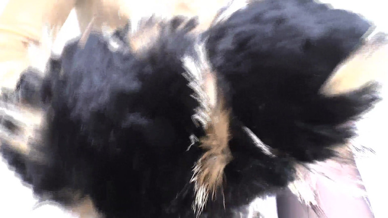 Lady Victoria Valente: Boşalma eğitimi: kürk atkı koklama ve boşalma, Lady Victoria Valente