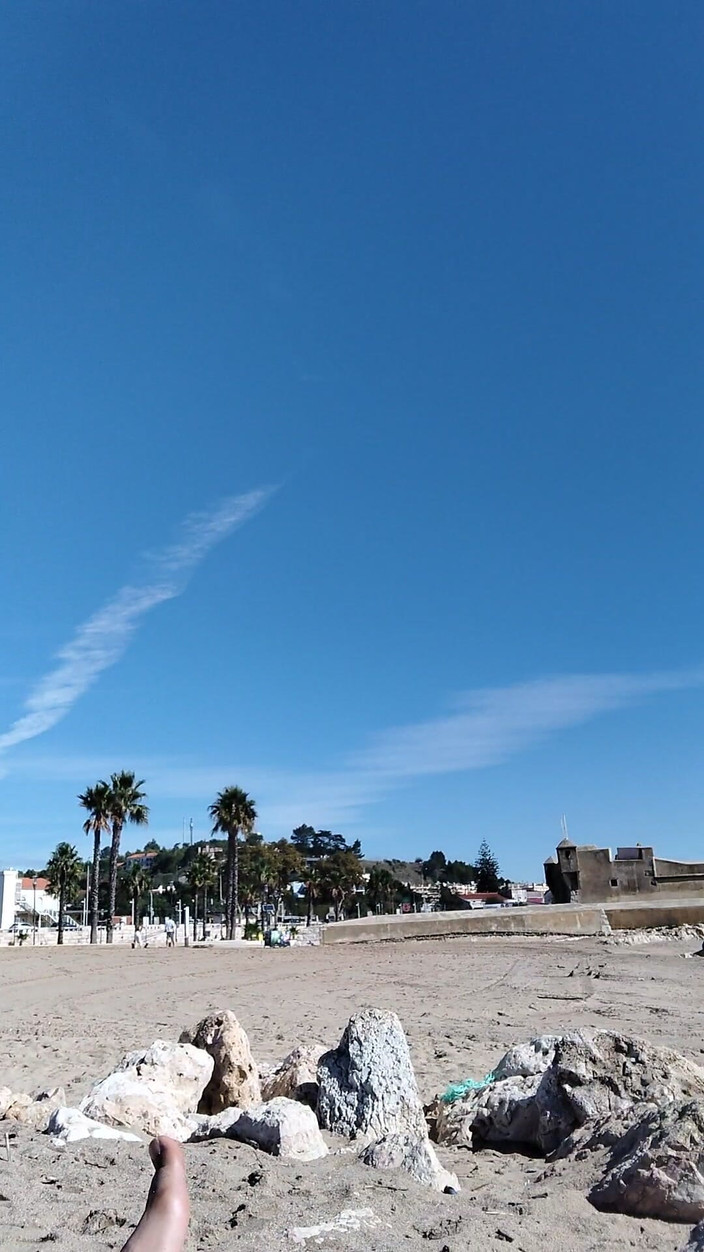 Boy top Amador: とてもビーチで