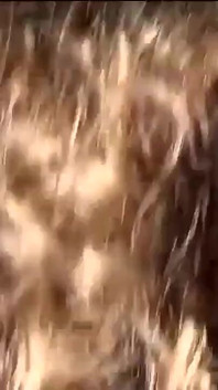 Vero amatoriale con sandra una troia italiana matura con capelli bruna viene scopata nella figa e vuole la sua bocca occupata