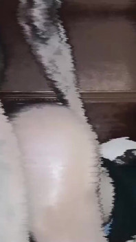 5576515
