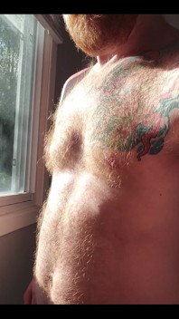 The Morning Sunlight