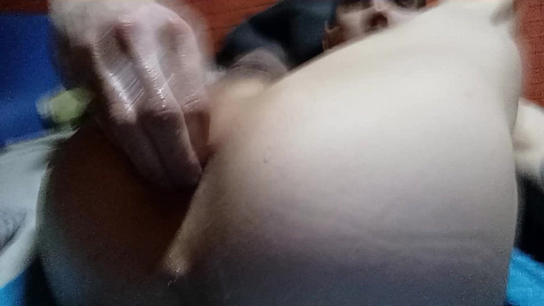 Norbi2888: Permainan dubur ikan