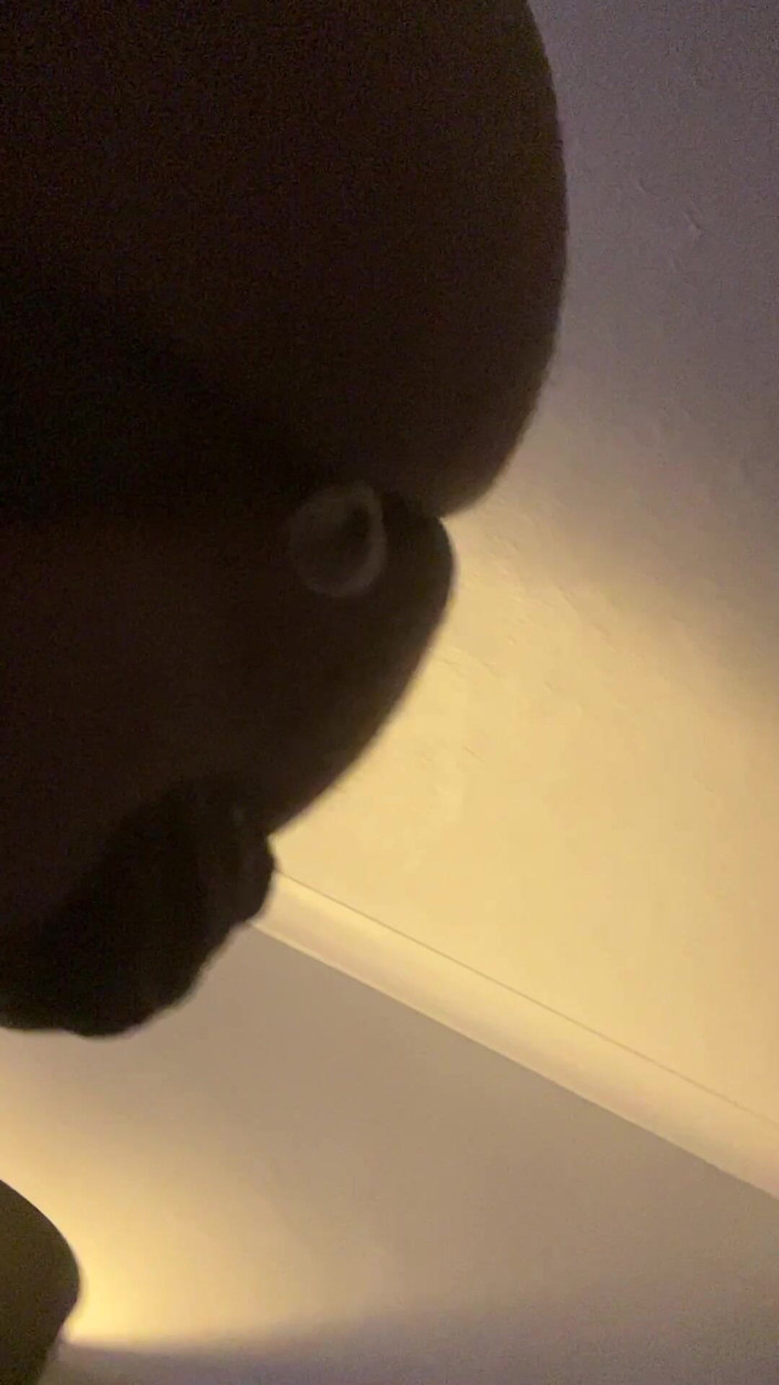 Lovapeggin1: I Love It in My Ass