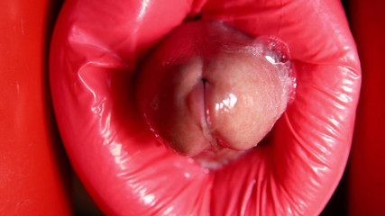 SEXY_GUYBEST: Dinosauří anál