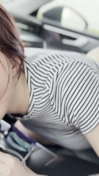 ヒッチハイクが助手席のドライバーと遊ぶ