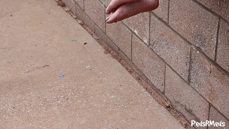 PedsRMeds: Little Miss Rya Flip Flop Popping Outside