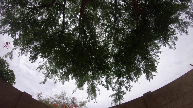 Kara Sweet: Podvádějící manželka