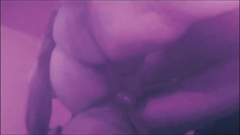 Lily & Theo: 카니발은 죄의 시간이다, 쾌락의 동굴에서 자신을 만족시키고 당신의 영혼으로 땅을 젖은