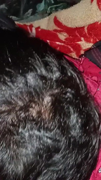 Desi Desi Hornby Hai Hamen Revival