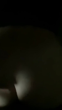 모닝 그레이하운드