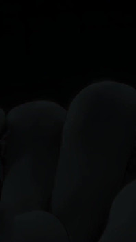Marcille Donato and Falin Touden Fucks Laios Touden in a Threesome Dungeon Meshi Hentai 3D Animation