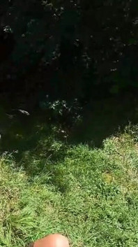 Kejutan lagi-lagi nyepong kontol di hutan