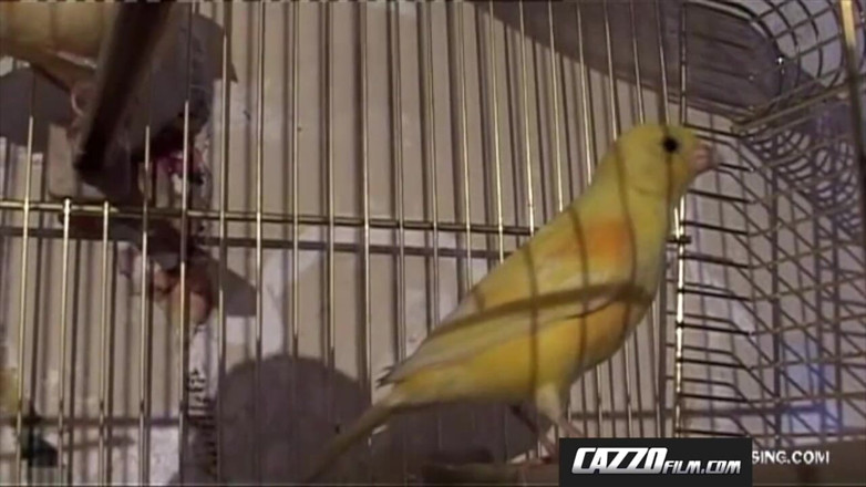 Cazzofilm: Cazzofilm - hapishane adamları
