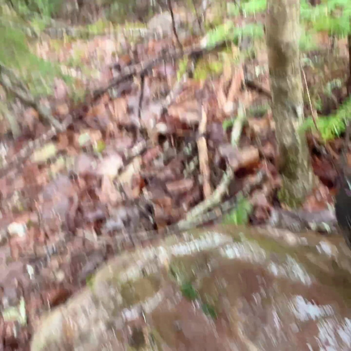 sweethanajapanese: Pussy Pissing Water on the Rock