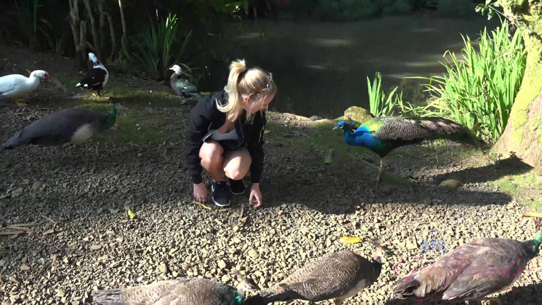 ATK Fans (Girlfriends): Virtual vacation in Hawaii with Bailey Brooke part 7