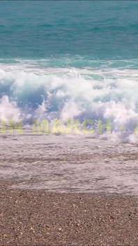 Promotion Tropical Sexual Fever