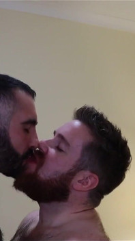 Bears Kissing