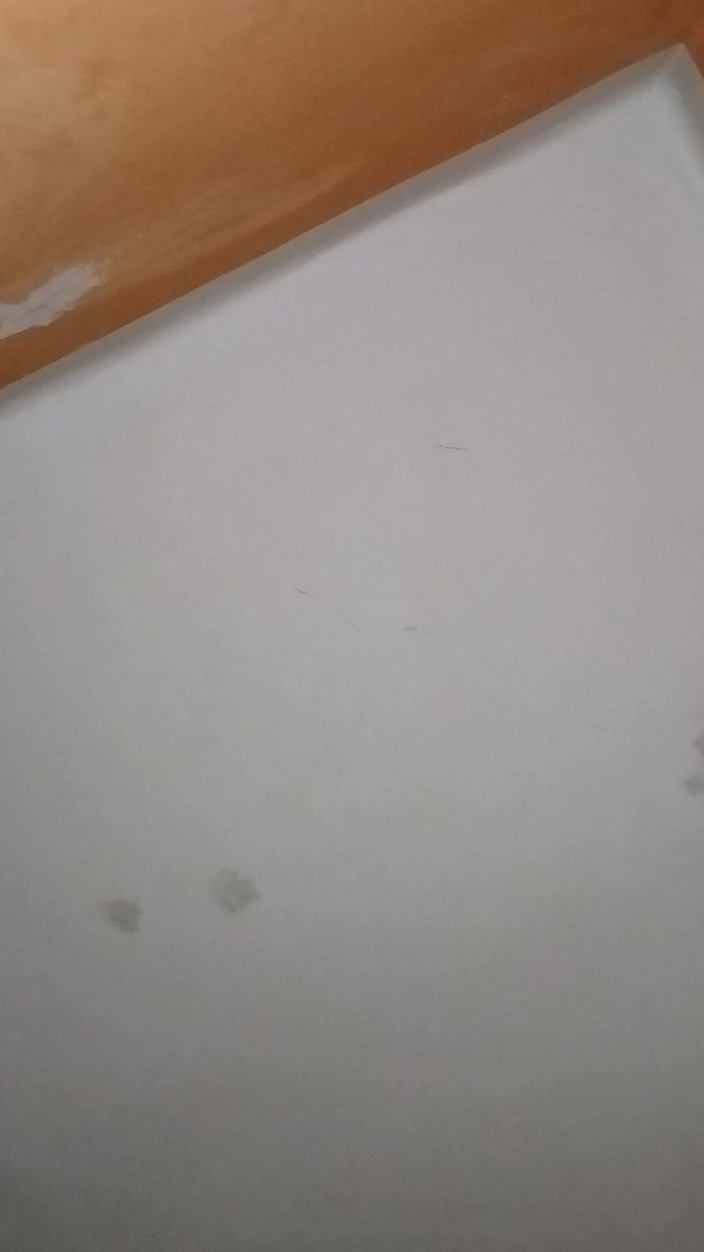 frapla: Seks lalki amatorskie