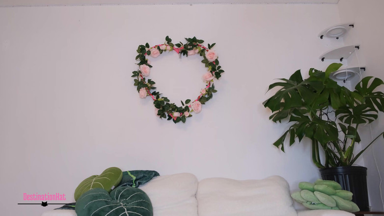 Destination Kat: Bikini-model und ihr der richter