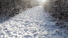 Bouncy Tits Action: Seins nus, gifles pendant une randonnée dans la neige